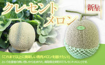 785.【先行予約】青肉メロンの新星「クレセントメロン」うれしい！3~4玉入　※2026年７月中旬より順次発送【メロン&nbsp;くだもの&nbsp;果物&nbsp;フルーツ&nbsp;甘い&nbsp;先行予約&nbsp;鳥取県&nbsp;北栄町&nbsp;おすすめ&nbsp;人気】