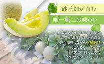 785.【先行予約】青肉メロンの新星「クレセントメロン」うれしい！3~4玉入　※2026年７月中旬より順次発送【メロン&nbsp;くだもの&nbsp;果物&nbsp;フルーツ&nbsp;甘い&nbsp;先行予約&nbsp;鳥取県&nbsp;北栄町&nbsp;おすすめ&nbsp;人気】