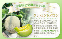 785.【先行予約】青肉メロンの新星「クレセントメロン」うれしい！3~4玉入　※2026年７月中旬より順次発送【メロン&nbsp;くだもの&nbsp;果物&nbsp;フルーツ&nbsp;甘い&nbsp;先行予約&nbsp;鳥取県&nbsp;北栄町&nbsp;おすすめ&nbsp;人気】