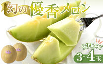 786.【先行予約】幻の「優香メロン」うれしい！3~4玉入&nbsp;　※2026年６月下旬より順次発送予定【メロン&nbsp;くだもの&nbsp;果物&nbsp;フルーツ&nbsp;甘い&nbsp;先行予約&nbsp;鳥取県&nbsp;北栄町&nbsp;おすすめ&nbsp;人気】