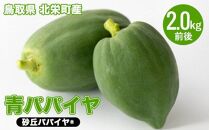 781.青パパイヤ（砂丘パパイヤ）2.0kg前後※2025年9月中旬～11月下旬頃に順次発送予定※離島への配送不可
