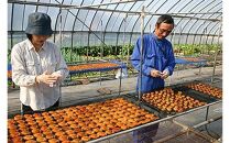 918.あんぽ柿 10個入り