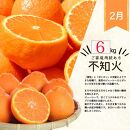【1・2・3・4月 全4回 定期便】紀州和歌山産旬のご家庭用柑橘セット(みかん・不知火・せとか・清見)【UT130】