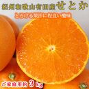 【1・2・3・4月 全4回 定期便】紀州和歌山産旬のご家庭用柑橘セット(みかん・不知火・せとか・清見)【UT130】