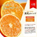 【1・2・3・4月 全4回 定期便】紀州和歌山産旬のご家庭用柑橘セット(みかん・不知火・せとか・清見)【UT130】