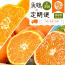 【1・2・3月 全3回 定期便】紀州和歌山産旬のご家庭用柑橘セット(みかん・不知火・清見)【UT129】