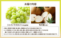 955.【訳あり】シャインマスカット（350ｇ前後）と旬の梨（5玉）セット※8月下旬頃～9月中旬頃に順次発送【先行予約&nbsp;シャインマスカット&nbsp;マスカット&nbsp;葡萄&nbsp;ぶどう&nbsp;梨&nbsp;なし&nbsp;果物&nbsp;フルーツ&nbsp;くだもの&nbsp;鳥取県&nbsp;北栄町&nbsp;おすすめ&nbsp;人気&nbsp;送料無料】