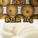 954.【訳あり】新甘泉 3kg　【梨・なし】≪梨 なし ナシ 果物 フルーツ くだもの 鳥取県北栄町≫※8月下旬頃～9月中旬頃に順次発送