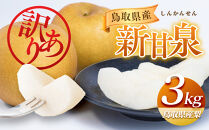 954.【訳あり】新甘泉&nbsp;3kg（梨）※8月下旬頃～9月中旬頃に順次発送【先行予約&nbsp;梨&nbsp;なし&nbsp;果物&nbsp;フルーツ&nbsp;くだもの&nbsp;鳥取県&nbsp;北栄町&nbsp;おすすめ&nbsp;人気&nbsp;送料無料】