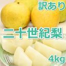 953.【訳あり】二十世紀梨 4kg【梨・なし】≪梨 なし ナシ 果物 フルーツ くだもの 鳥取県北栄町≫※8月下旬頃～9月下旬頃に順次発送