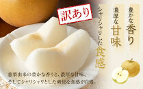953.【訳あり】二十世紀梨&nbsp;4kg（梨）※8月下旬頃～9月下旬頃に順次発送【先行予約&nbsp;梨&nbsp;なし&nbsp;果物&nbsp;フルーツ&nbsp;くだもの&nbsp;鳥取県&nbsp;北栄町&nbsp;おすすめ&nbsp;人気&nbsp;送料無料】