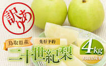 953.【訳あり】二十世紀梨&nbsp;4kg（梨）※8月下旬頃～9月下旬頃に順次発送【先行予約&nbsp;梨&nbsp;なし&nbsp;果物&nbsp;フルーツ&nbsp;くだもの&nbsp;鳥取県&nbsp;北栄町&nbsp;おすすめ&nbsp;人気&nbsp;送料無料】