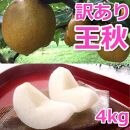 926.【訳あり】王秋梨 4kg（4～13玉前後）≪果物 フルーツ くだもの≫　※2025年10月下旬～12月上旬頃に順次発送予定