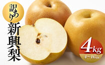 【訳あり】新興梨 4kg（4～16玉前後）※2026年10月上旬～11月下旬頃に順次発送予定【先行予約 梨 なし 果物 フルーツ くだもの 鳥取県 北栄町 おすすめ 人気 送料無料】