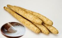 【訳あり】砂丘長いも2.5kg&nbsp;&nbsp;長芋&nbsp;ながいも&nbsp;鳥取県産&nbsp;※11月上旬頃～3月下旬頃に順次発送予定【野菜&nbsp;やさい&nbsp;根菜&nbsp;とろろ&nbsp;長芋&nbsp;芋&nbsp;いも&nbsp;鳥取県&nbsp;北栄町&nbsp;おすすめ&nbsp;人気&nbsp;送料無料】