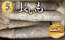 【訳あり】砂丘長いも2.5kg&nbsp;&nbsp;長芋&nbsp;ながいも&nbsp;鳥取県産&nbsp;※11月上旬頃～5月下旬頃に順次発送予定【野菜&nbsp;やさい&nbsp;根菜&nbsp;とろろ&nbsp;長芋&nbsp;芋&nbsp;いも&nbsp;鳥取県&nbsp;北栄町&nbsp;おすすめ&nbsp;人気&nbsp;送料無料】