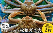 105.【先行予約】【活き】ブランドタグ付き松葉ガニ 大　800～940g前後　2枚◇《かに カニ 蟹 ズワイガニ》※2025年11月上旬～2026年3月上旬頃に順次発送予定
