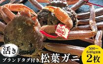 106.【先行予約】【活き】ブランドタグ付き松葉ガニ 500～640g前後　2枚◇ ≪かに カニ 蟹 ズワイガニ≫　※2025年11月上旬～2026年3月上旬頃に順次発送予定
