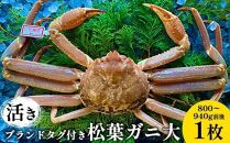107.【先行予約】【活き】ブランドタグ付き松葉ガニ 大　800～940g前後　1枚《かに カニ 蟹 ズワイガニ》※2025年11月上旬～2026年3月上旬頃に順次発送予定