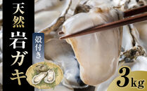 おすすめ 129.[先行予約]天然岩ガキ 3kg(殻付き)岩がき 牡蠣◇ ※2025年6月〜8月上旬頃に順次発送予定 ※北海道・沖縄・離島への配送不可