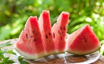 240.【先行予約】プレミアムスイカ 2L×2玉  ※5月下旬～8月上旬頃に順次発送予定 ※着日指定不可（こちらの返礼品は、大栄西瓜ではありません）【西瓜 スイカ 果物 フルーツ くだもの 鳥取県 北栄町 おすすめ 人気 送料無料】