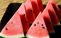 242.【先行予約】スイカL 2玉 6kg以上2玉 ※6月上旬～8月中旬頃に順次発送予定（こちらの返礼品は、大栄西瓜ではありません）【西瓜 スイカ 果物 フルーツ くだもの 鳥取県 北栄町 おすすめ 人気 送料無料】