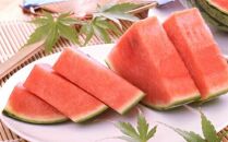 248.【先行予約】極上小玉スイカ 2玉 ※6月上旬～8月中旬頃に順次発送予定【西瓜 スイカ 小玉西瓜 果物 フルーツ くだもの 鳥取県 北栄町 おすすめ 人気 送料無料】