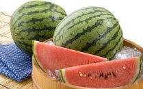 250.【先行予約】【品種はおまかせ】小玉スイカ 2玉 ※6月上旬～8月中旬頃に順次発送予定【おまかせ 西瓜 スイカ 小玉西瓜 果物 フルーツ くだもの 鳥取県 北栄町 おすすめ 人気 送料無料】