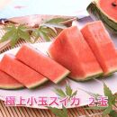 251.【先行予約】プレミアムスイカと旬のメロン1玉セット（こちらの返礼品は、大栄西瓜ではありません）◇ ※6月上旬～7月下旬頃に順次発送予定 ※着日指定不可