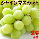 270.【先行予約】シャインマスカット(種無し)&nbsp;1kg前後&nbsp;※2026年8月下旬～9月下旬頃に順次発送予定【&nbsp;シャインマスカット&nbsp;マスカット&nbsp;葡萄&nbsp;ぶどう&nbsp;果物&nbsp;フルーツ&nbsp;くだもの&nbsp;鳥取県&nbsp;北栄町&nbsp;おすすめ&nbsp;人気&nbsp;送料無料】