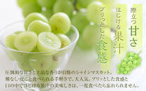 285.【先行予約】二十世紀梨とシャインマスカットのセット&nbsp;大&nbsp;※8月下旬～9月下旬頃に順次発送予定【先行予約&nbsp;梨&nbsp;なし&nbsp;果物&nbsp;フルーツ&nbsp;くだもの&nbsp;鳥取県&nbsp;北栄町&nbsp;おすすめ&nbsp;人気&nbsp;送料無料】