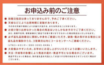 285.【先行予約】二十世紀梨とシャインマスカットのセット&nbsp;大&nbsp;※8月下旬～9月下旬頃に順次発送予定【先行予約&nbsp;梨&nbsp;なし&nbsp;果物&nbsp;フルーツ&nbsp;くだもの&nbsp;鳥取県&nbsp;北栄町&nbsp;おすすめ&nbsp;人気&nbsp;送料無料】