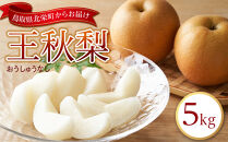 【先行予約】王秋梨&nbsp;5kg前後（5～16玉前後）※2026年10月下旬～12月上旬頃に順次発送予定【先行予約&nbsp;梨&nbsp;なし&nbsp;果物&nbsp;フルーツ&nbsp;くだもの&nbsp;鳥取県&nbsp;北栄町&nbsp;おすすめ&nbsp;人気&nbsp;送料無料】