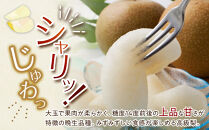 【先行予約】王秋梨&nbsp;5kg前後（5～16玉前後）※2026年10月下旬～12月上旬頃に順次発送予定【先行予約&nbsp;梨&nbsp;なし&nbsp;果物&nbsp;フルーツ&nbsp;くだもの&nbsp;鳥取県&nbsp;北栄町&nbsp;おすすめ&nbsp;人気&nbsp;送料無料】