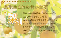 【先行予約】新興梨 5～18玉前後 5kg前後 ※10月～11月下旬頃に順次発送予定 梨 なし 果物 フルーツ くだもの 鳥取県 北栄町 おすすめ 人気 送料無料】