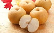 【先行予約】新興梨&nbsp;秀&nbsp;約4Kg（4～16玉前後)&nbsp;※10月～11月下旬頃に順次発送予定&nbsp;梨&nbsp;なし&nbsp;果物&nbsp;フルーツ&nbsp;くだもの&nbsp;鳥取県&nbsp;北栄町&nbsp;おすすめ&nbsp;人気&nbsp;送料無料】