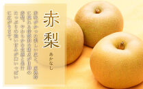 旬の赤梨セット&nbsp;4～5kg前後&nbsp;※2026年8月下旬～12月下旬頃に順次発送予定【&nbsp;梨&nbsp;なし&nbsp;果物&nbsp;フルーツ&nbsp;くだもの&nbsp;鳥取県&nbsp;北栄町&nbsp;おすすめ&nbsp;人気&nbsp;送料無料】