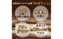 321.≪先行受注≫&nbsp;ねばりっこ&nbsp;3～4本&nbsp;※2025年11月上旬～2026年4月中旬頃に順次発送予定【野菜&nbsp;やさい&nbsp;根菜&nbsp;とろろ&nbsp;長芋&nbsp;芋&nbsp;いも&nbsp;鳥取県&nbsp;北栄町&nbsp;おすすめ&nbsp;人気&nbsp;送料無料】