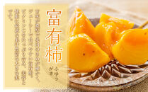 【先行予約】富有柿と王秋梨のセット&nbsp;5kg前後&nbsp;※2026年11月上旬～12月上旬頃に順次発送予定【先行予約&nbsp;梨&nbsp;なし&nbsp;柿&nbsp;カキ&nbsp;フルーツ&nbsp;果物&nbsp;くだもの&nbsp;鳥取県&nbsp;北栄町&nbsp;おすすめ&nbsp;人気&nbsp;送料無料】