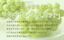 536.【先行予約】新甘泉4玉とシャインマスカット2房&nbsp;※8月下旬～9月中旬頃に順次発送予定【先行予約&nbsp;シャインマスカット&nbsp;マスカット&nbsp;葡萄&nbsp;ぶどう&nbsp;梨&nbsp;なし&nbsp;果物&nbsp;フルーツ&nbsp;くだもの&nbsp;鳥取県&nbsp;北栄町&nbsp;おすすめ&nbsp;人気&nbsp;送料無料】