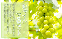 538.【先行予約】新甘泉2玉とシャインマスカット1房&nbsp;※8月下旬～9月中旬頃に順次発送予定【先行予約&nbsp;シャインマスカット&nbsp;マスカット&nbsp;葡萄&nbsp;ぶどう&nbsp;梨&nbsp;なし&nbsp;果物&nbsp;フルーツ&nbsp;くだもの&nbsp;鳥取県&nbsp;北栄町&nbsp;おすすめ&nbsp;人気&nbsp;送料無料】