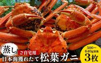 114.【先行予約】【蒸し】訳あり ご自宅用 日本海獲れたて松葉ガニ　500～640g前後　３枚◇《かに カニ 蟹 ズワイガニ》　※2025年11月上旬～2026年3月上旬頃に順次発送予定