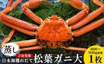 116.【先行予約】【蒸し】訳あり ご自宅用 日本海獲れたて松葉ガニ 大　800～940g前後　１枚◇ ≪かに カニ 蟹 ズワイガニ≫　※2025年11月上旬～2026年3月上旬頃に順次発送予定