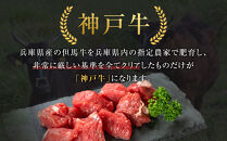 ＜お試し用＞＜神戸牛＞角切り　カレー・シチュー・煮込み用　500g(250g×2P)　[&nbsp;ふるさと納税&nbsp;神戸牛&nbsp;神戸ビーフ&nbsp;ブランド和牛&nbsp;訳あり&nbsp;訳アリ&nbsp;部位&nbsp;霜降り&nbsp;黒毛和牛&nbsp;国産牛&nbsp;和牛&nbsp;高級&nbsp;兵庫県&nbsp;神戸牛&nbsp;但馬&nbsp;西宮市&nbsp;]