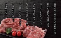 ＜神戸牛＞食べ比べセット　計約1.17kg　しゃぶしゃぶ・ステーキ・焼肉・煮込み　[ ふるさと納税 神戸牛 神戸ビーフ ブランド和牛 訳あり 訳アリ 部位 霜降り 黒毛和牛 国産牛 和牛 高級 兵庫県 神戸牛 但馬 西宮市 ]
