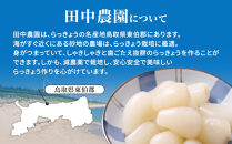 【特別栽培】生ラッキョウ　計4kg（ラクダラッキョウ×2kg　玉ラッキョウ×2kg）　※2026年5月下旬～7月上旬頃に順次発送予定【らっきょう&nbsp;らっきょ&nbsp;ラッキョ&nbsp;生らっきょう&nbsp;ラクダラッキョウ&nbsp;ラクダらっきょう&nbsp;玉らっきょう&nbsp;詰合せ&nbsp;ご飯&nbsp;カレー&nbsp;希少&nbsp;鳥取県産&nbsp;北栄町&nbsp;おすすめ&nbsp;人気】