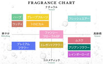 バーデンス　シャンプートリートメント（トロピカルの香り）