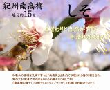 紀州南高梅 しそ 塩分約15％ 850g ［YM6m］ A-245