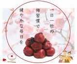 紀州南高梅 しそ 塩分約15％ 850g ［YM6m］ A-245