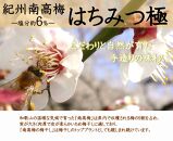 紀州南高梅 はちみつ極 塩分約6％ 850g ［YM10m］ A-247